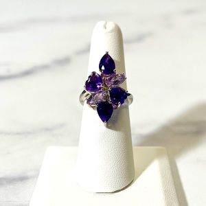 4.15ctw Mixed Shape African & Brazilian Amethyst Sterling Silver Ring